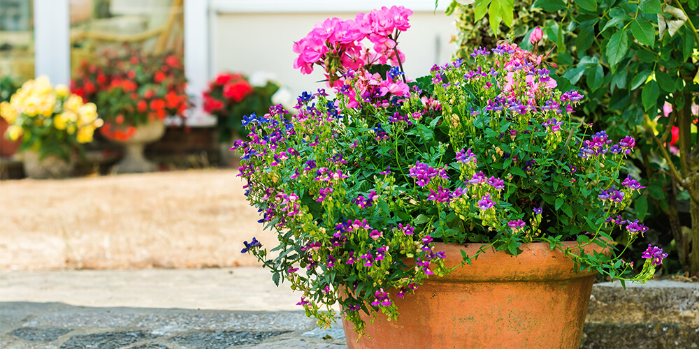 3 garden path design ideas that will transform your yard container gardens