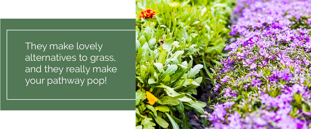 3 garden path design ideas that will transform your yard creeping phlox pathway
