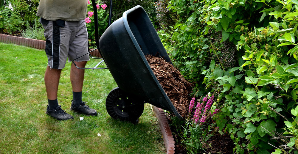 adding mulch to garden