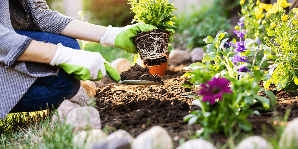 Mixing Peat Moss With Soil: Is It Necessary? | Eising Garden Centre