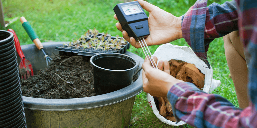 testing soil pH Eising Garden Centre