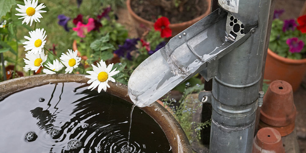 Eising Garden Centre -Eco-Friendly Landscaping Tips-rainwater collection