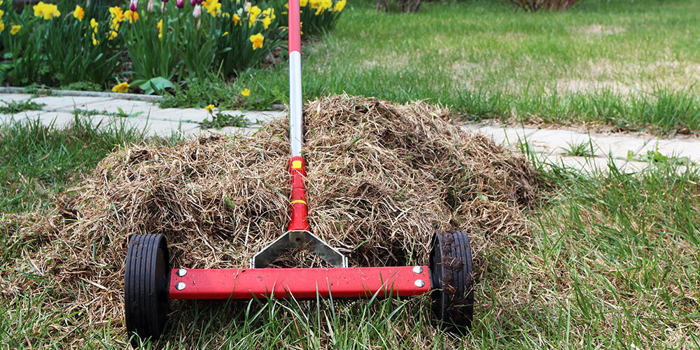 Eising Garden Centre -5 Garden and Landscape Chores to Do Right Now-dethatching lawn