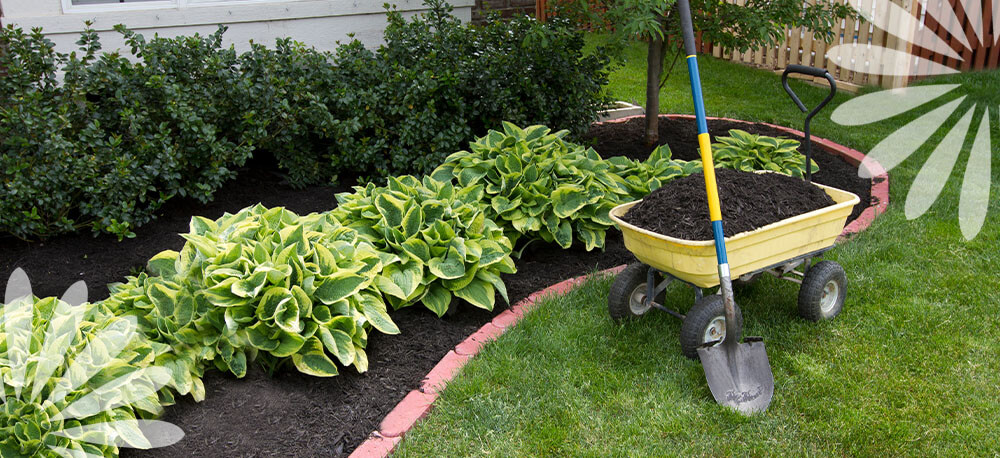 Eising Garden Centre -5 Garden and Landscape Chores to Do Right Now-wheelbarrow full of mulch for garden