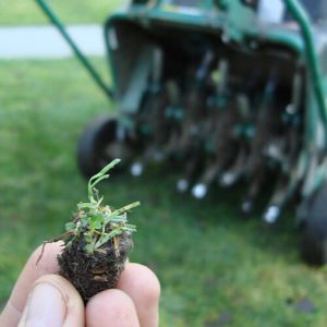 Eising Garden Centre-Ontario-Fall Lawn Care Guide -aeration of lawn