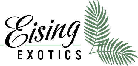 Eising Exotics full colour logo