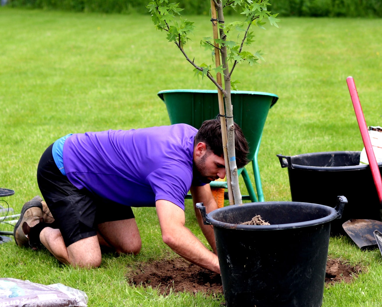 Eisings can plant gardens and create beautiful landscapes