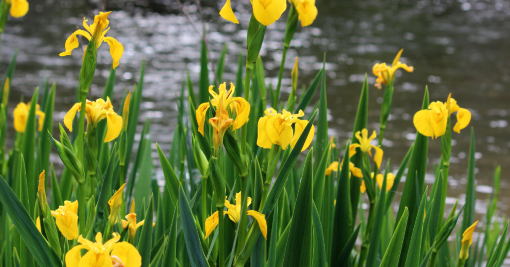 blog headers 2024 08 15t113627.454