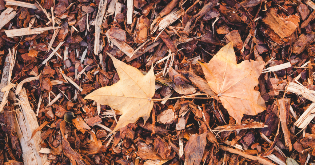 blog headers (14)