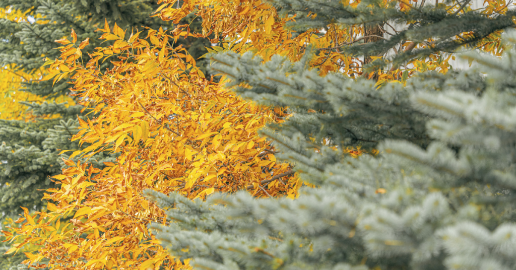 blog headers (15)