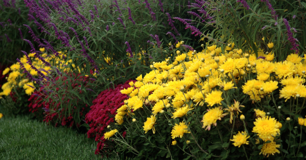 blog headers (18)