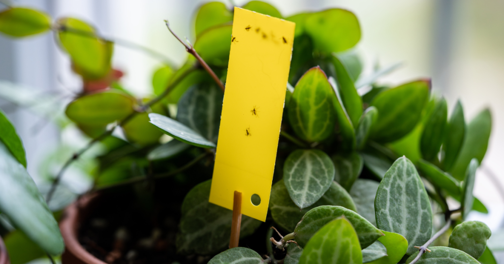 blog headers (24)