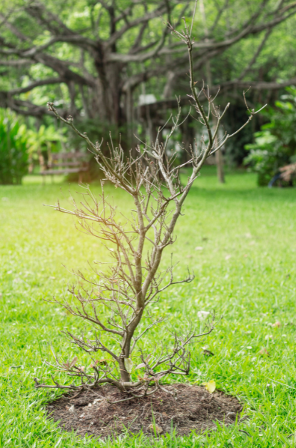 blog headers (26)