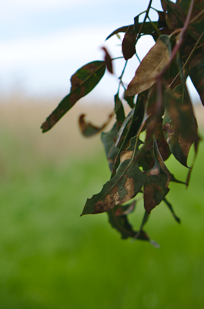blog headers (31)
