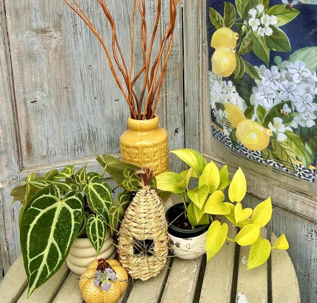autumn bees close table
