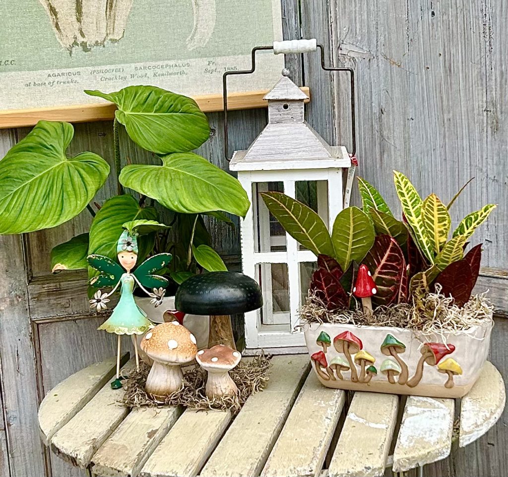 autumn mushroom close table