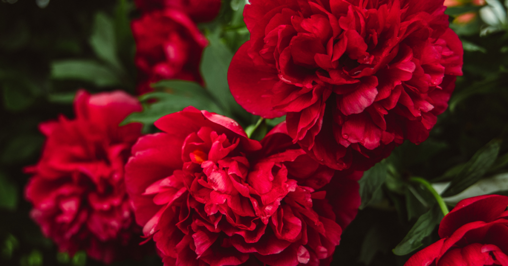 blog headers (12)