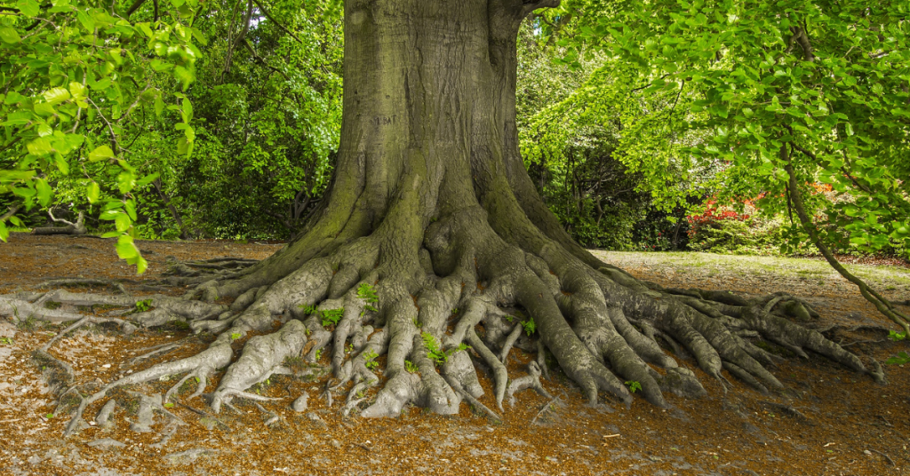 blog headers (15)