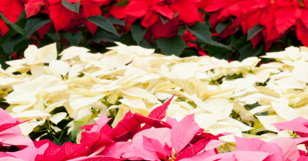 blog headers (6)