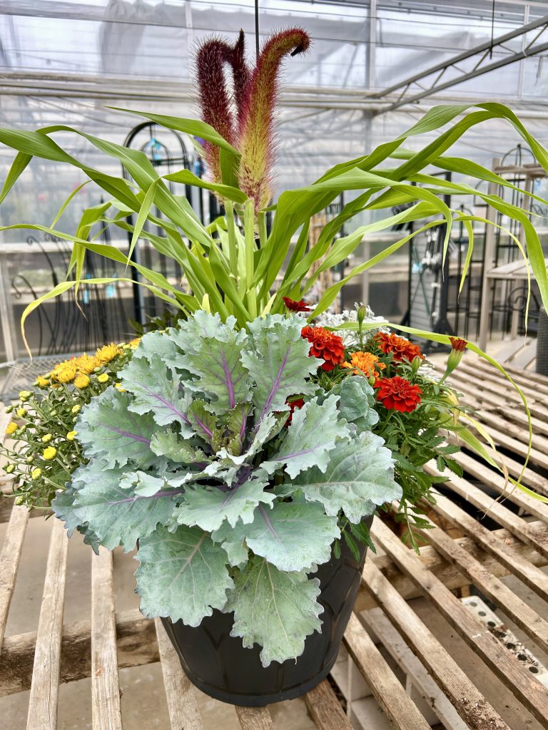 fall planter large