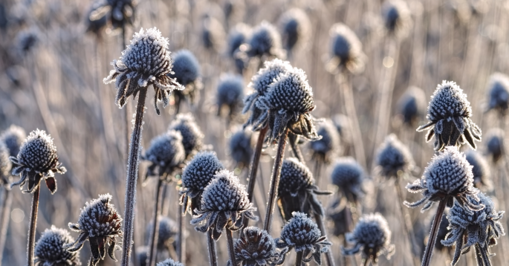 blog headers (1)