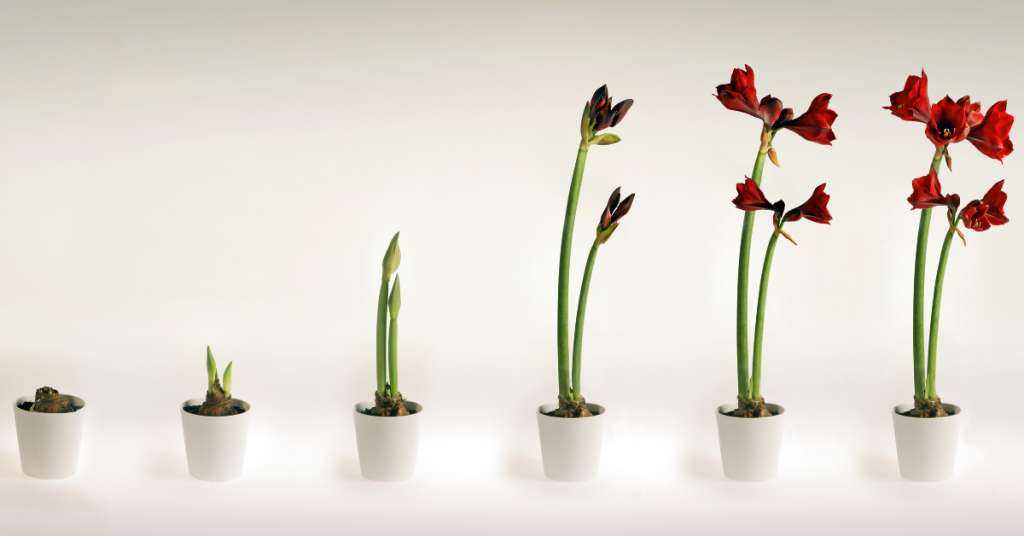 blog headers (1)