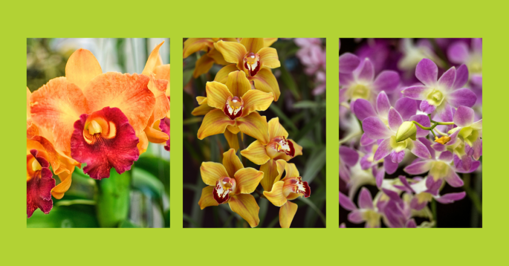 blog headers (1)