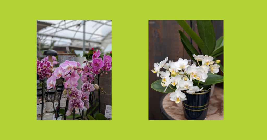 blog headers