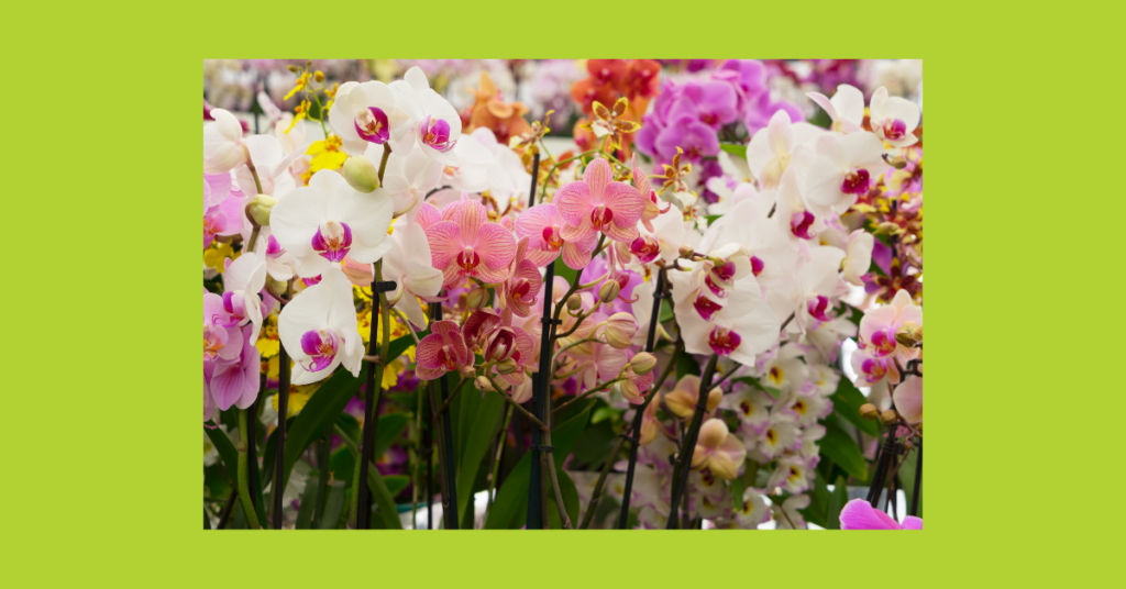 blog headers (2)