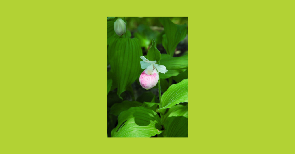 blog headers (3)