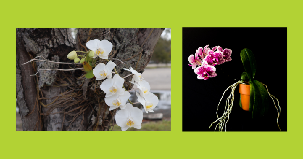 blog headers (5)