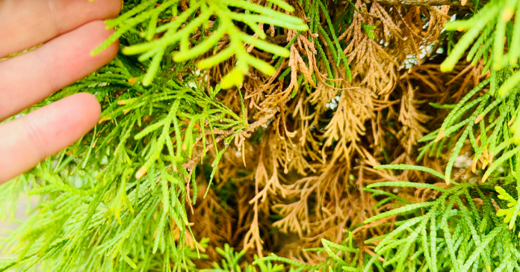 blog headers (1)