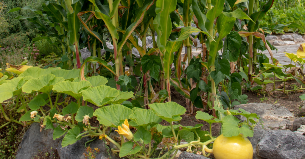 blog headers (1)