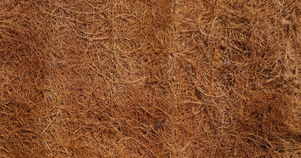 blog headers (10)