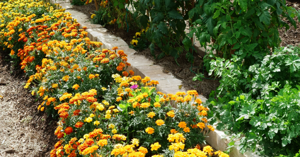 blog headers