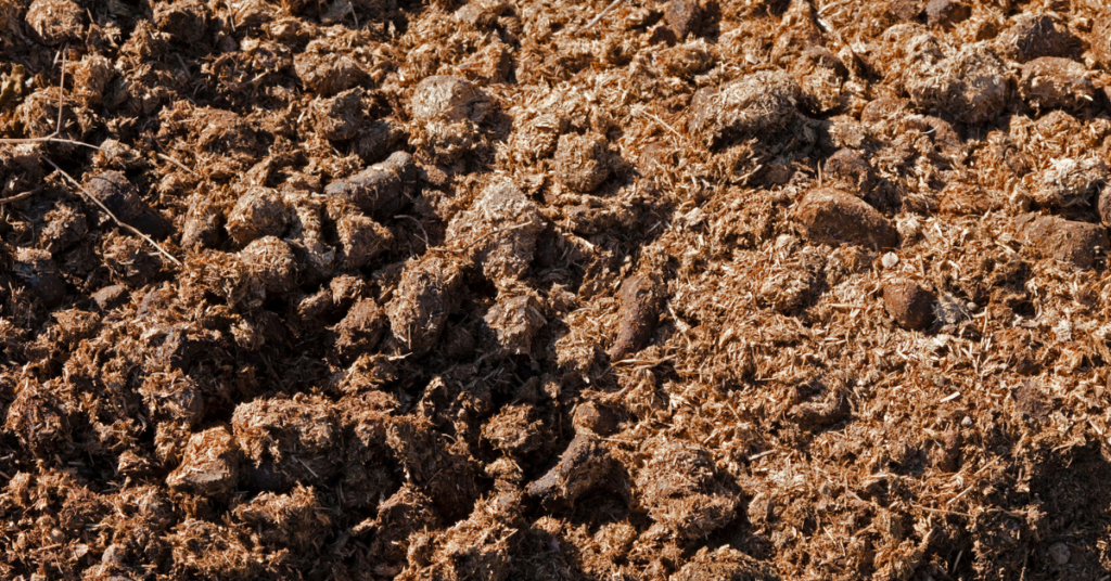 blog headers (13)