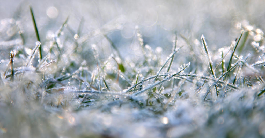 blog headers (12)