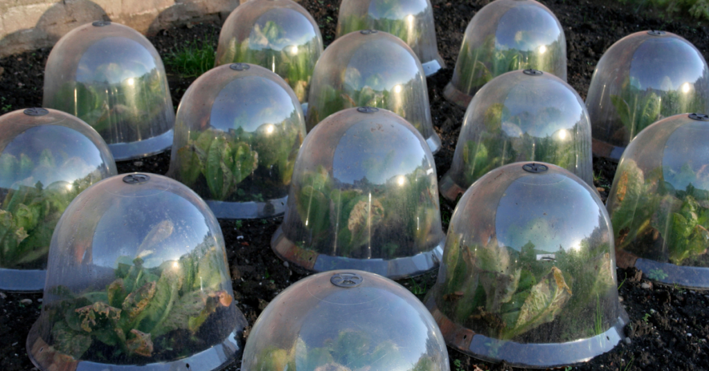 blog headers (5)