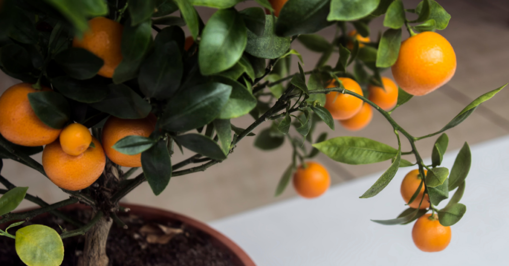 blog headers (7)