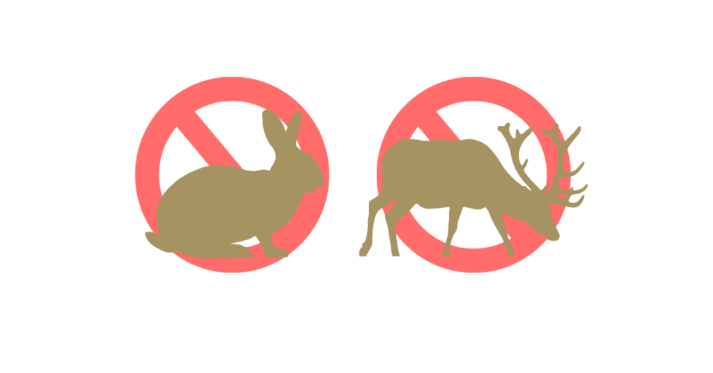 blog headers (8)