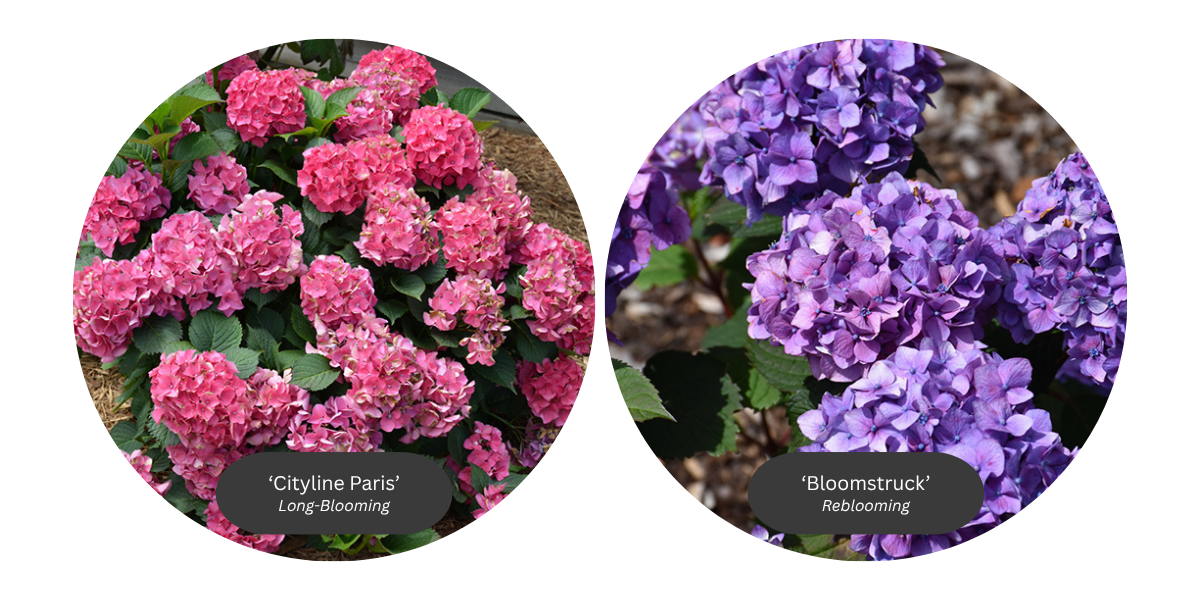 2026 blog headers (1200 x 600 px) (3)