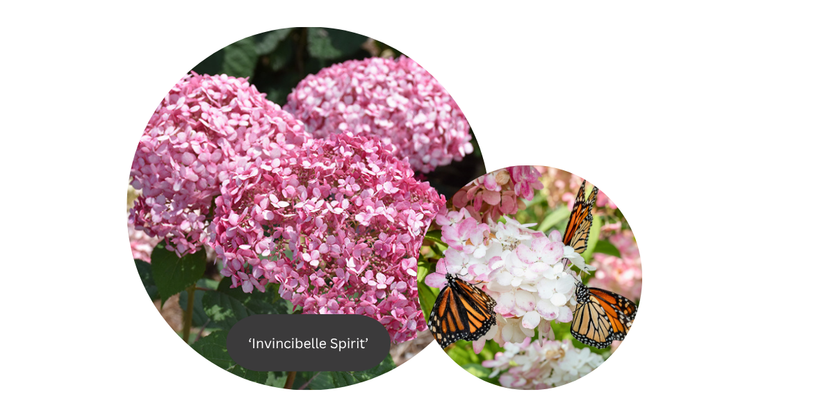 2026 blog headers (1200 x 600 px) (5)