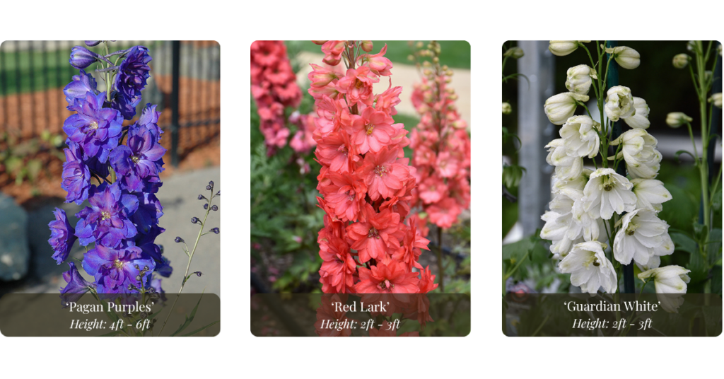 2026 blog headers (15)