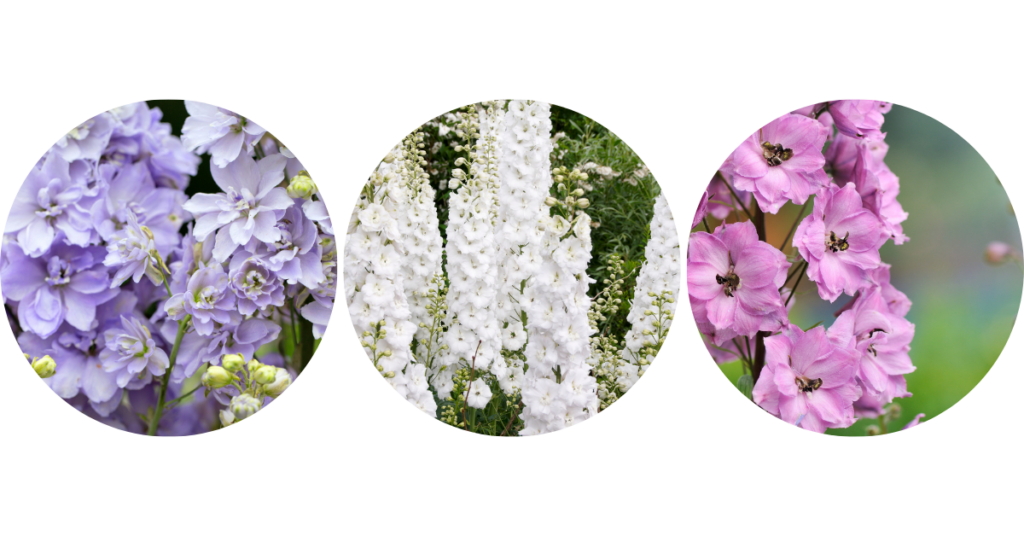 2026 blog headers (16)