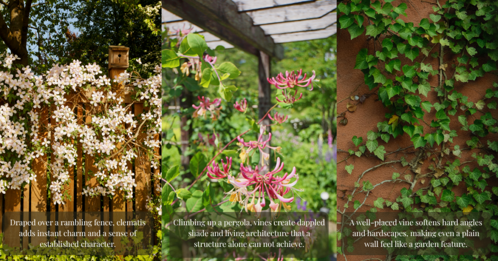 2026 blog headers (2)