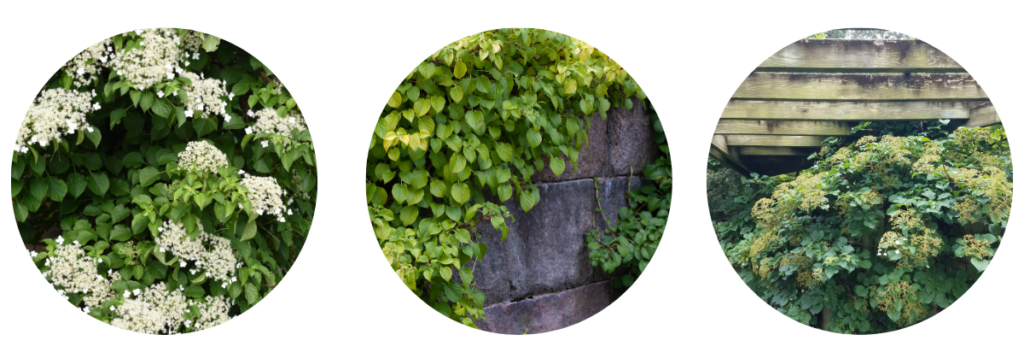 2026 blog headers (7)
