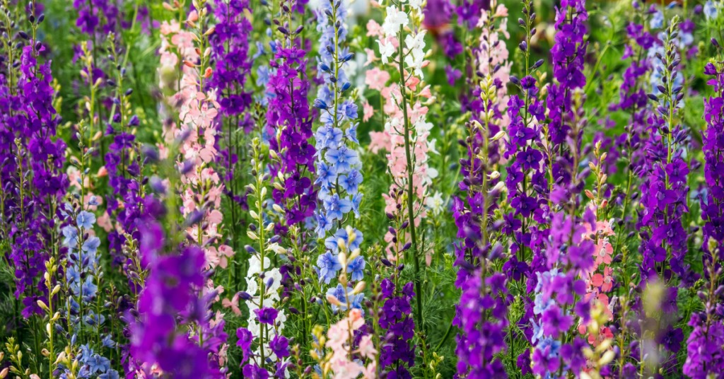 blog title header (4)