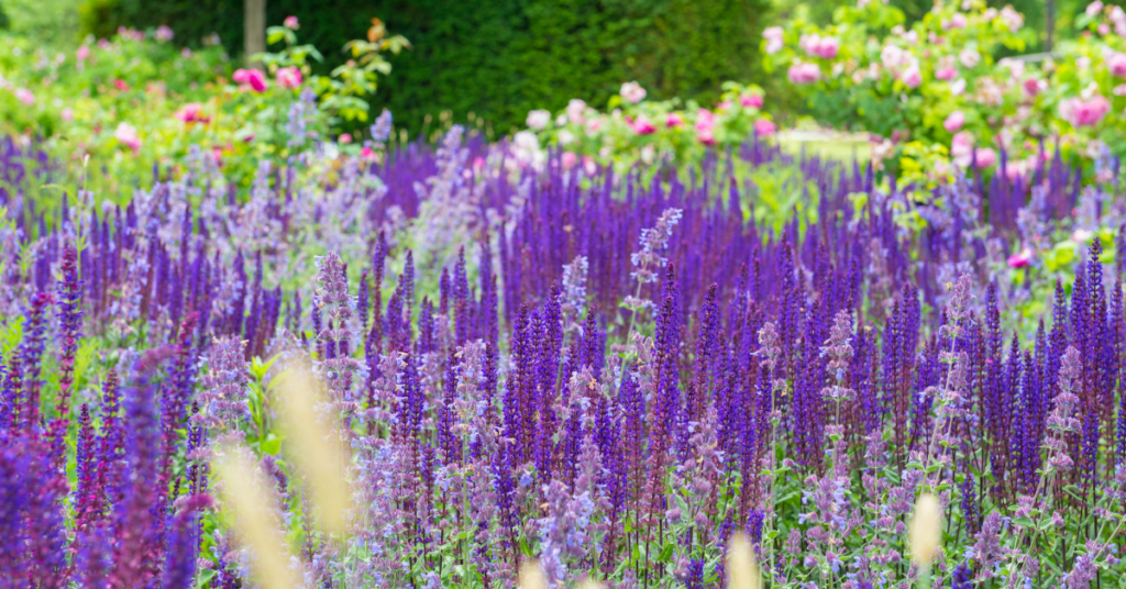 blog title header (12)