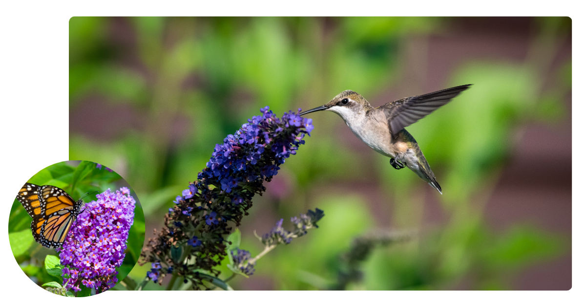 blog title header (18)