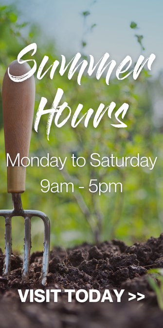 Summer Hours Monday to Saturday 9am - 5pm